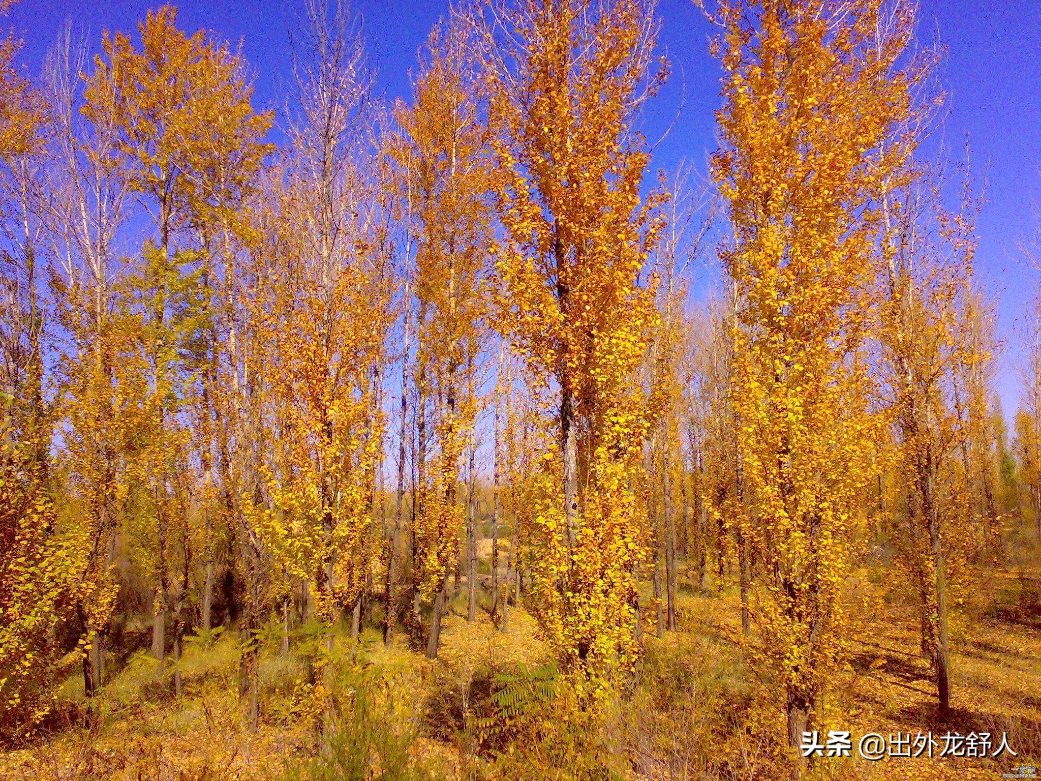 回忆学车的故事,回忆学车的点点滴滴