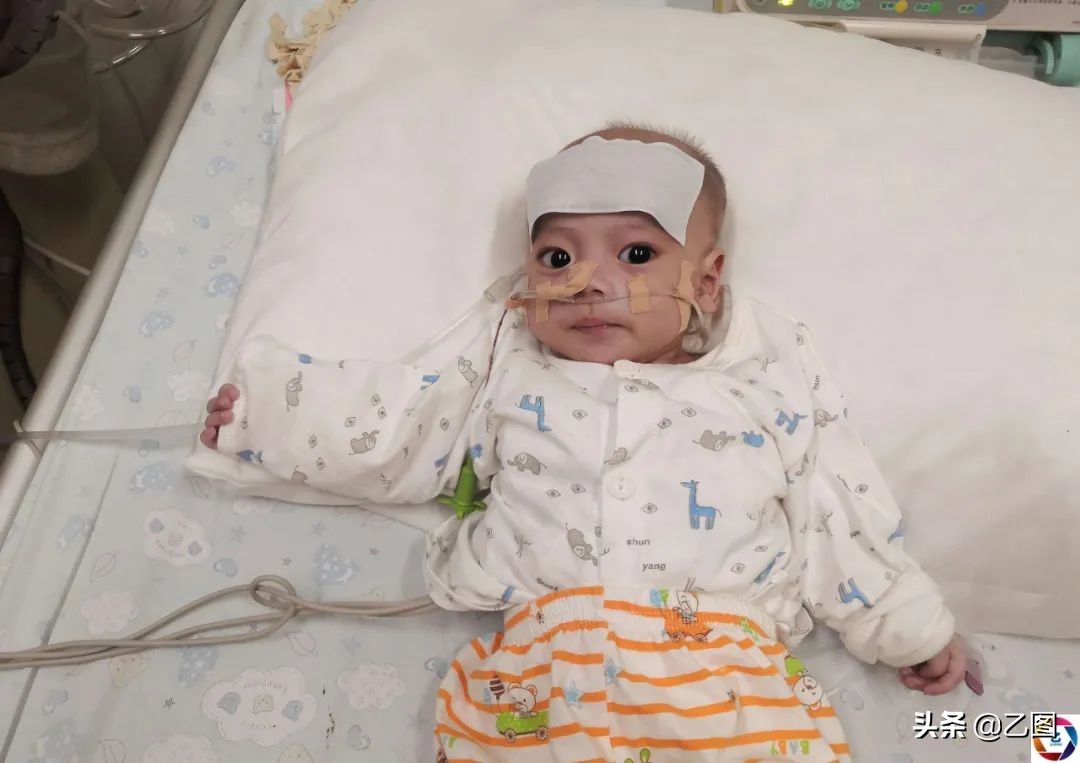 6个月的男宝才15斤,6个月的男婴体重才5公斤是正常吗