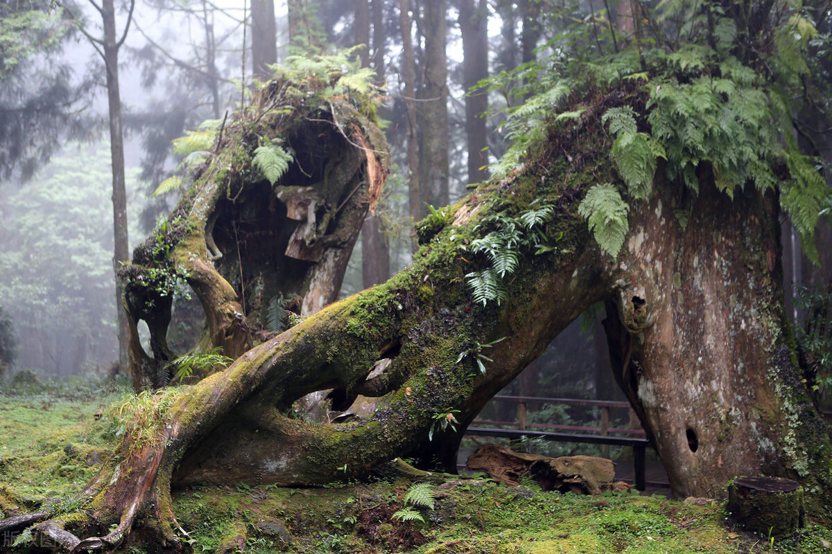 散文农耕文化,散文乌蒙山水