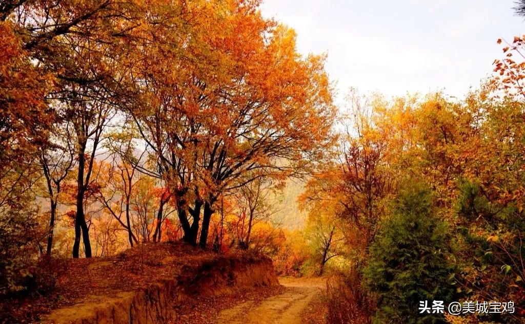 宝鸡冷门亲子游,宝鸡好玩人少的景区推荐