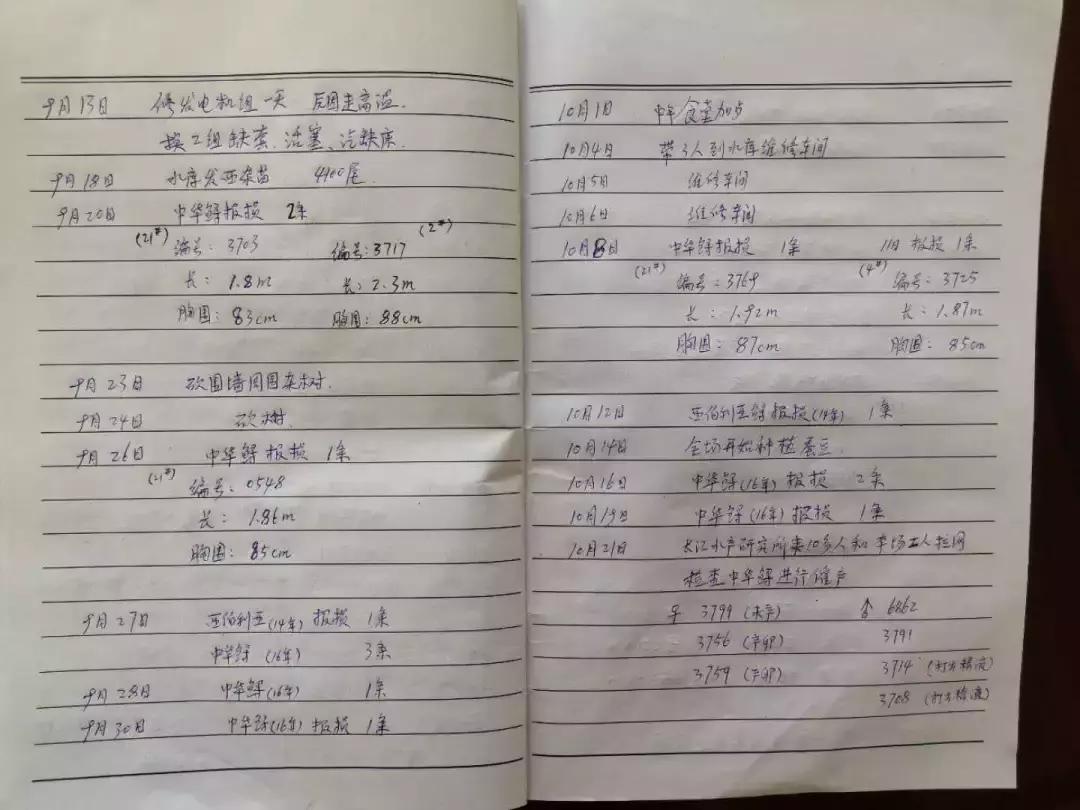 谁杀死了“大鱼”？——生死中华鲟