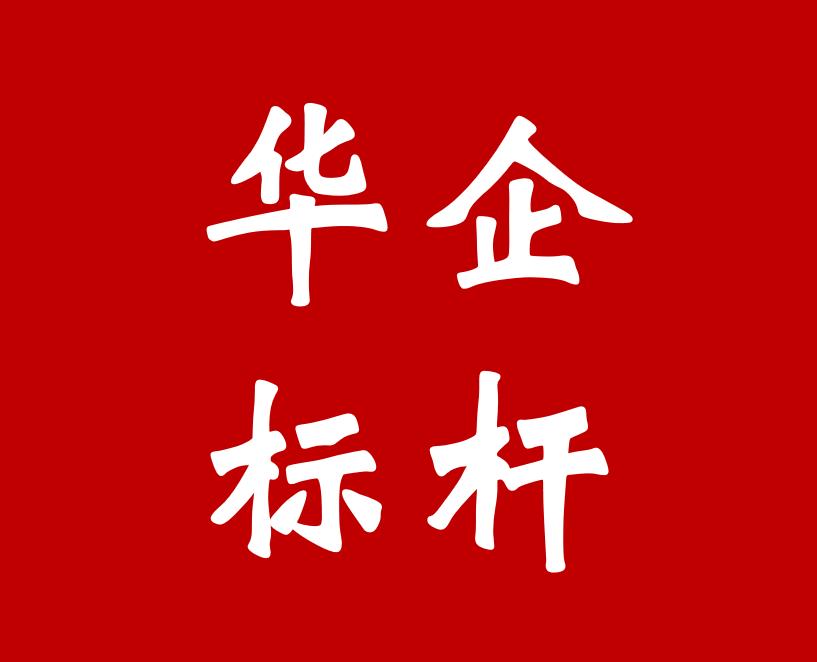 网易公司的战略分析和战略构造,网易公司管理系统案例分析