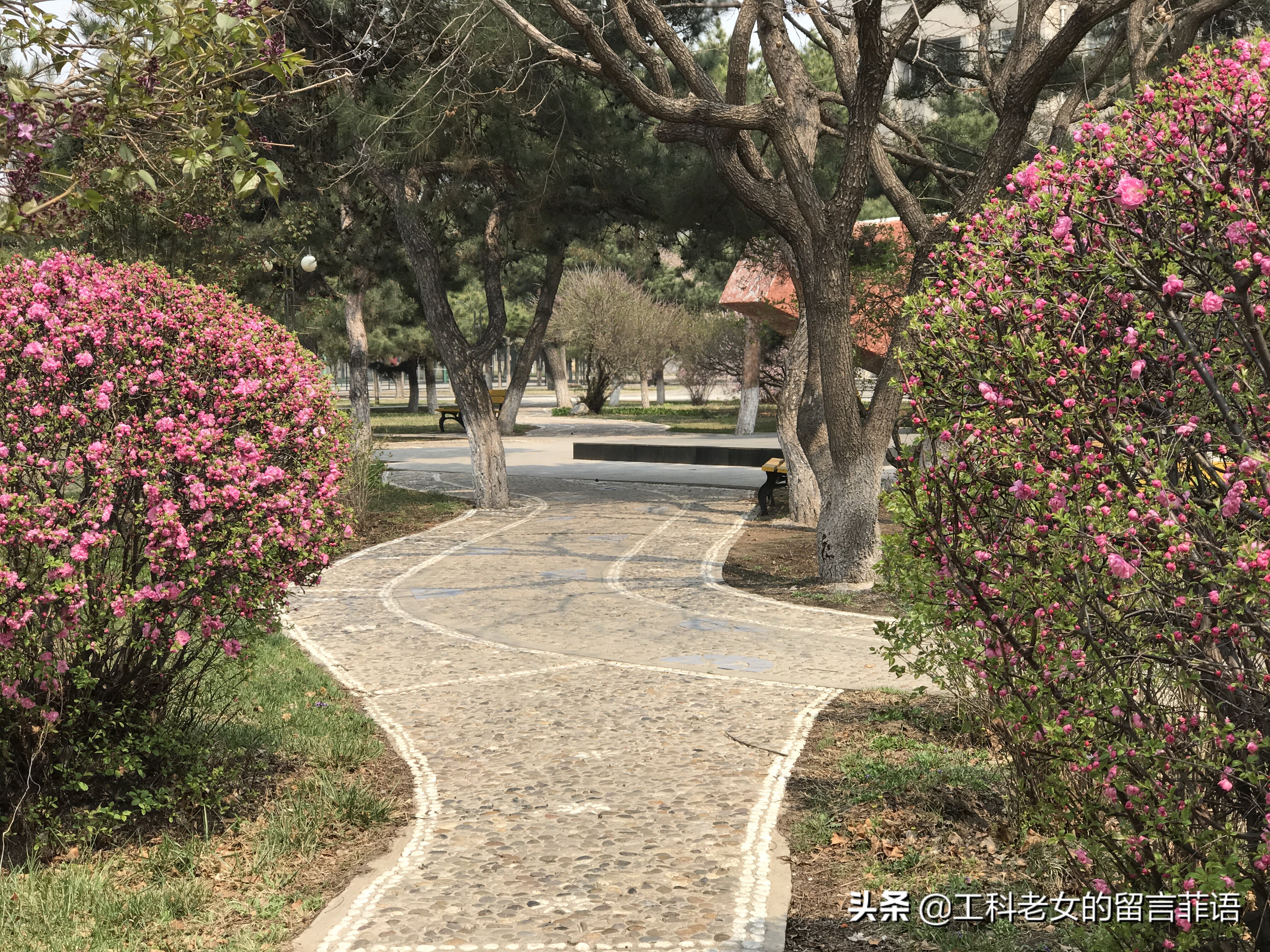 带你领略自然美,带你领略春天独有的浪漫