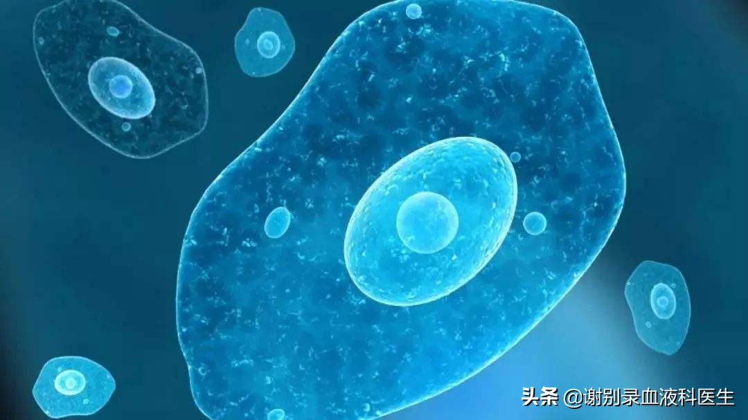 血小板减少性紫癜流鼻血了怎么办,血小板减少腿上有瘀斑的症状