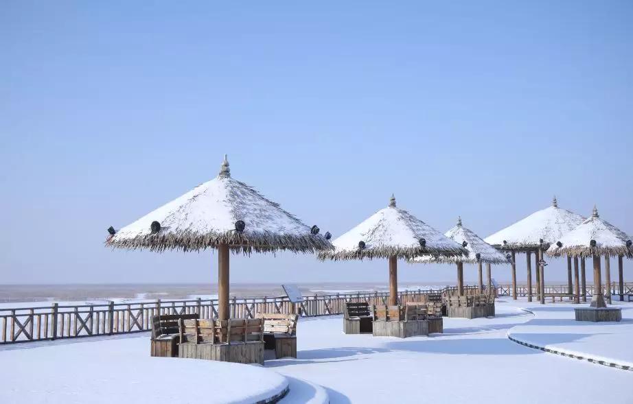 下雪后的海边图片大全,六月份的红海滩