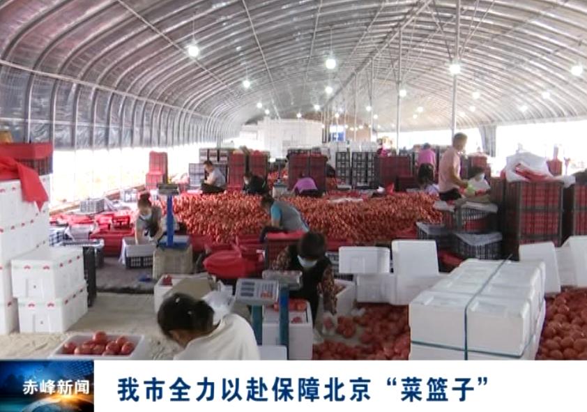 北京多部门稳住菜篮子,赤峰大湾区菜篮子