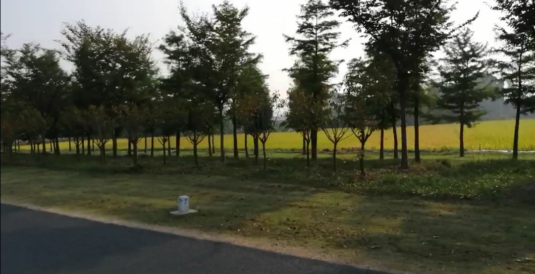 爸爸，愿您健康快乐，愿您寿比南山——祝寿感语！