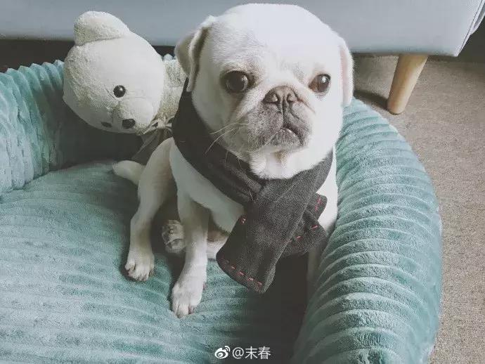 小央美的图片,小央美画作品欣赏