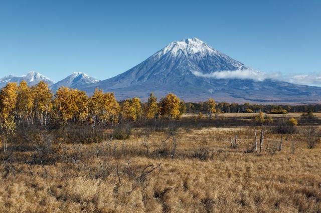 俄愿向中国买家提供农业土地，运现金后，再提供农业土地，有进展