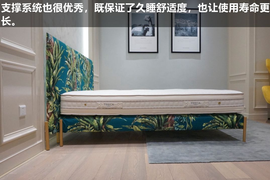 treca崔佧床垫,崔佧床垫是奢侈品吗