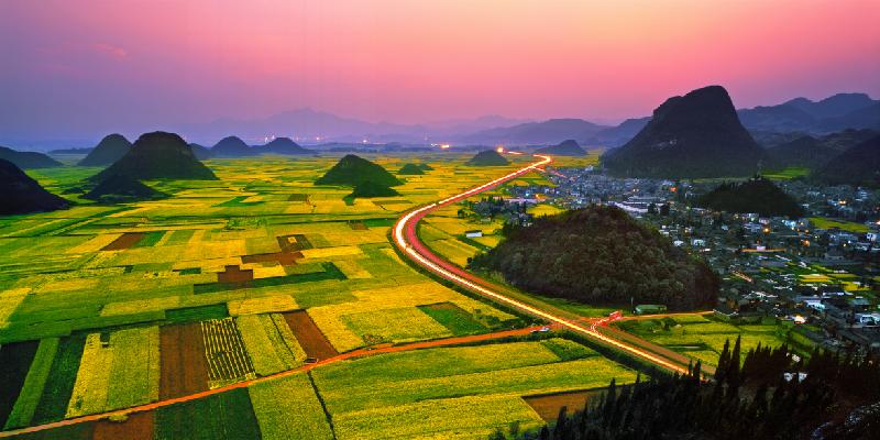 瞧!这花花世界谁不爱