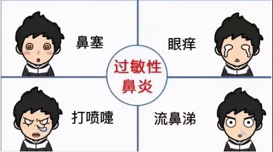 一例过敏性鼻炎患者护理论文摘要,过敏性鼻炎经典案例