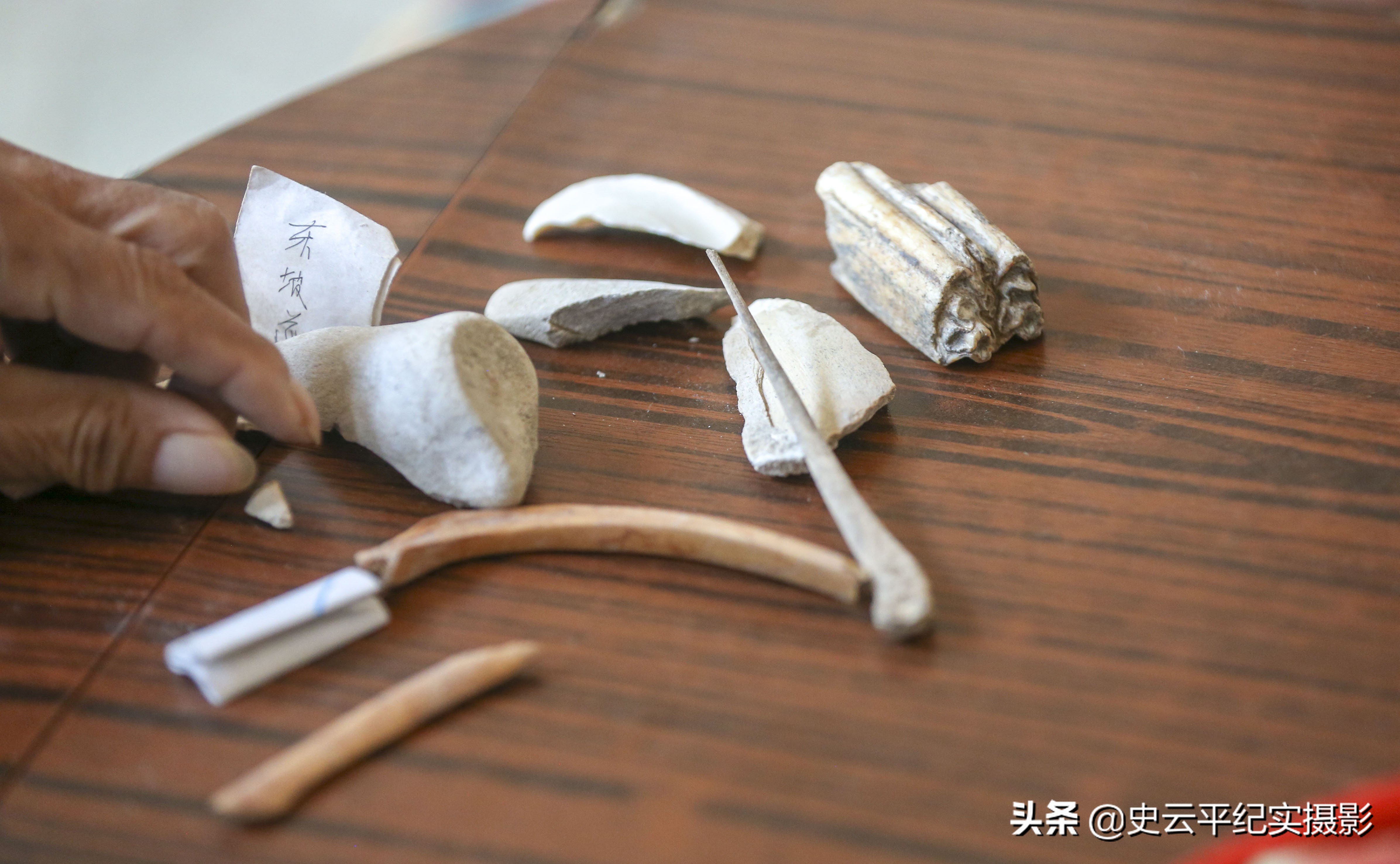 大爷捡到奇特树根视频,老汉意外发现人形树根