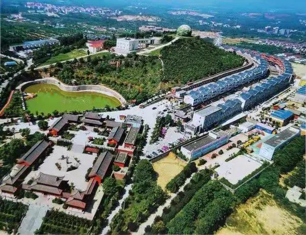 社会组织乡村振兴项目运作模式,乡村产业振兴10个经典模式