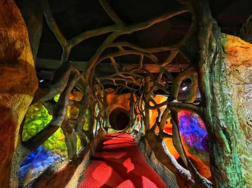 成都春节室内游玩攻略,成都玩耍攻略