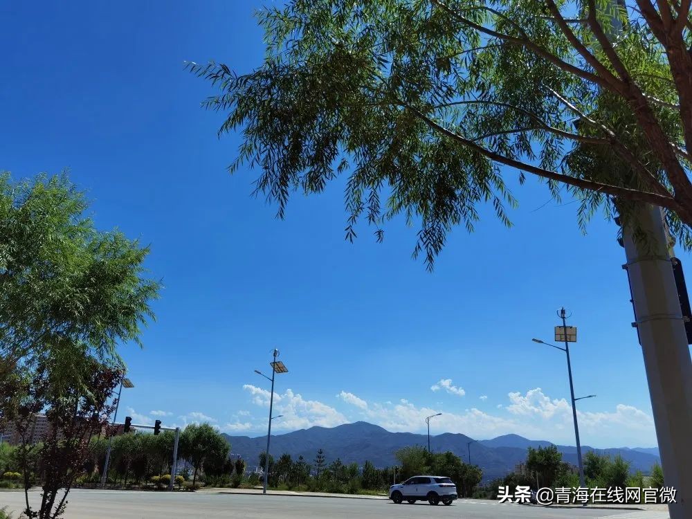 在线观看我的班主任,藏文作文我的班主任