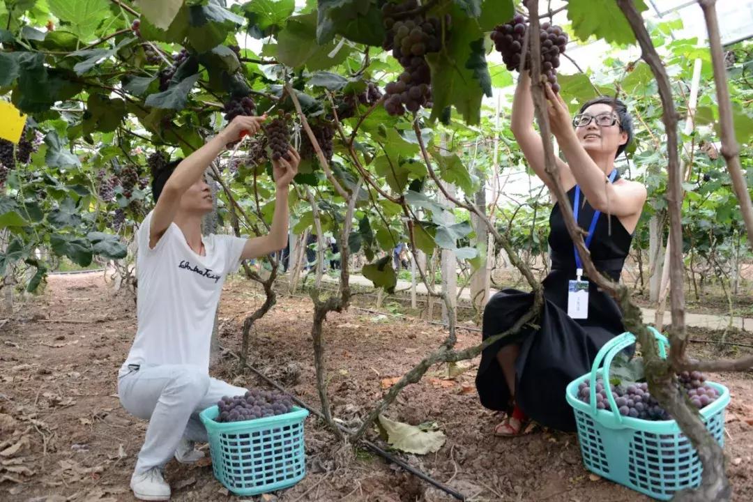 这一生必须去一次的地方,这一生要去一次丽江