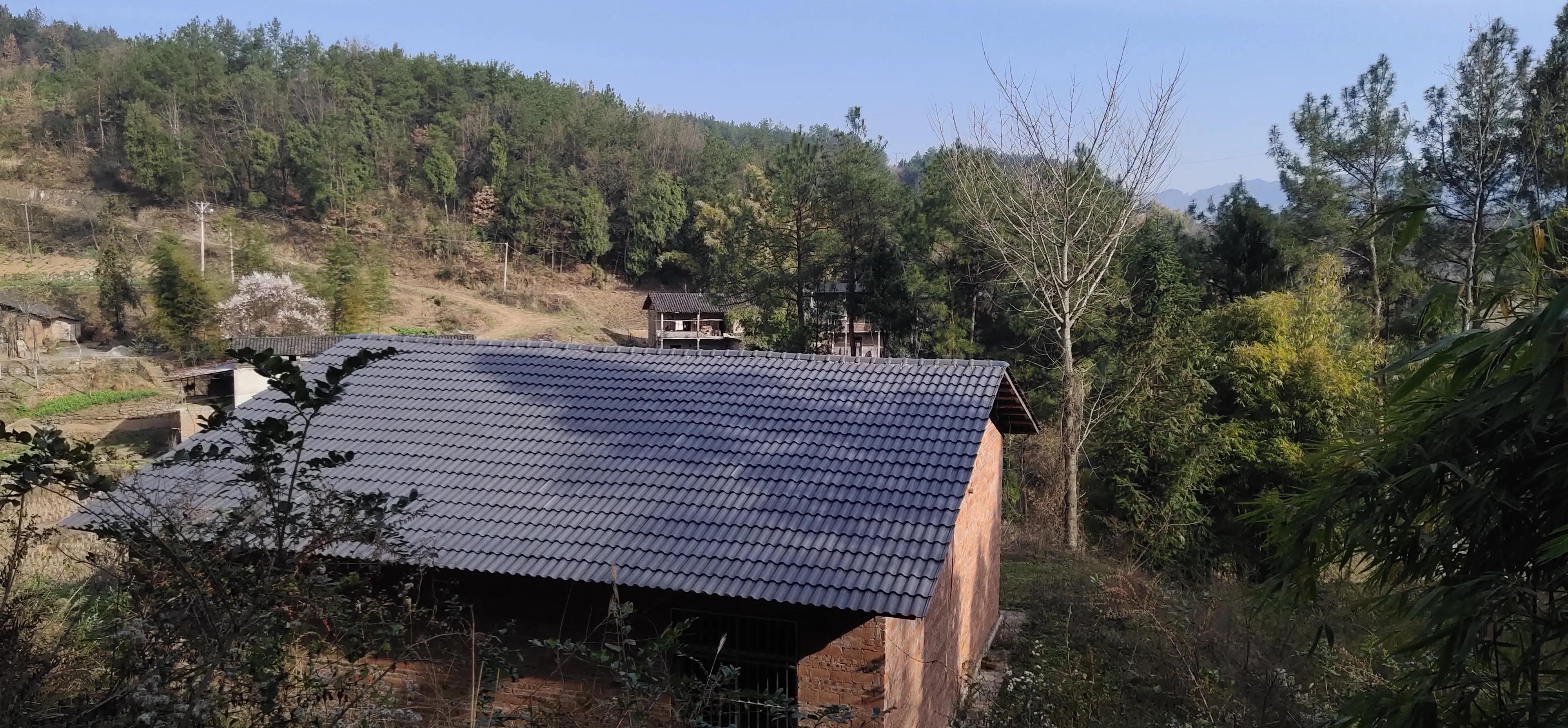 登高感想100字以上,初九登高