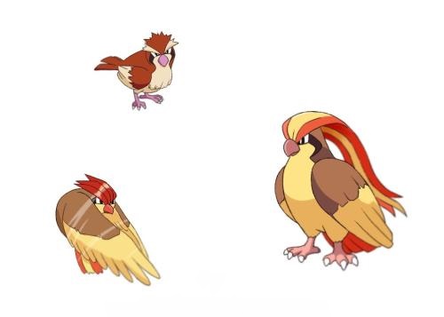 精灵宝可梦dp卡比兽,精灵宝可梦0.1