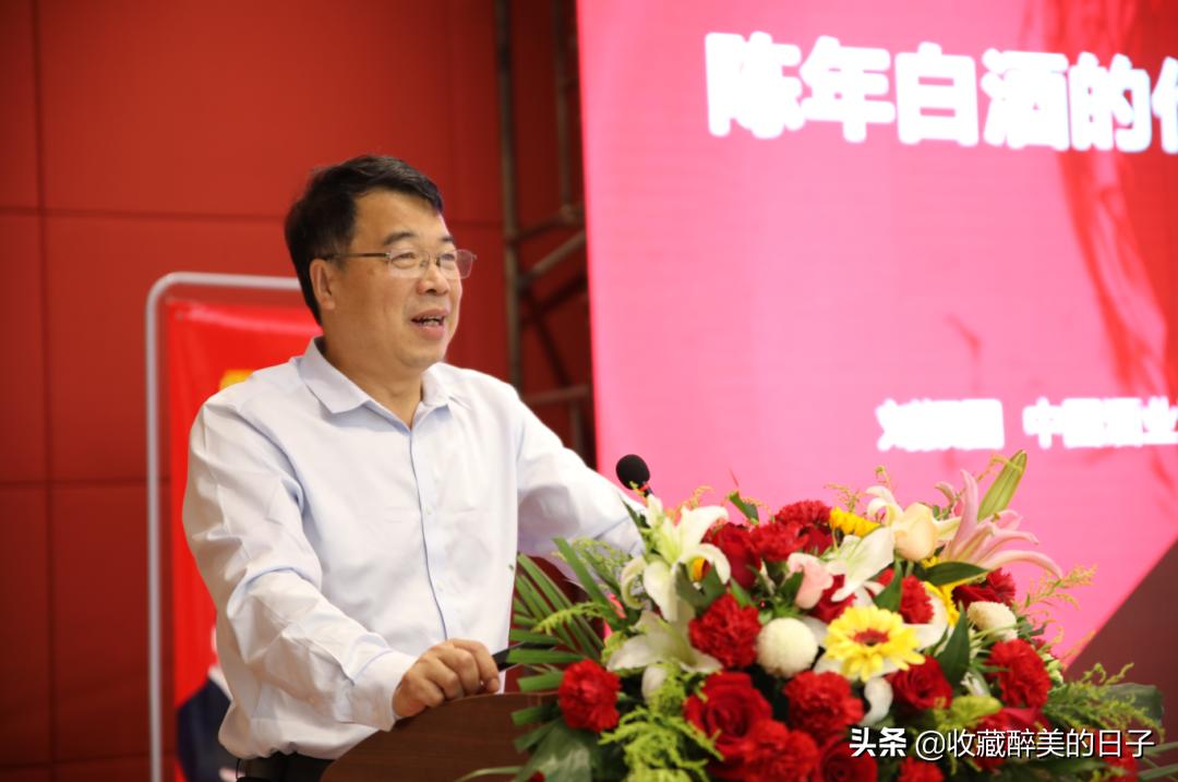 文化自信，鲁酒借力收藏赋能高质量发展①海岱之间惟青州