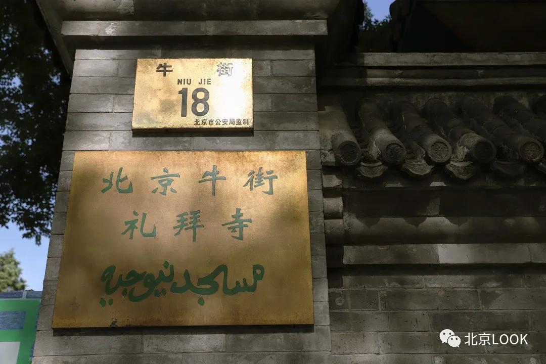 这就是牛完整视频,北京市牛街