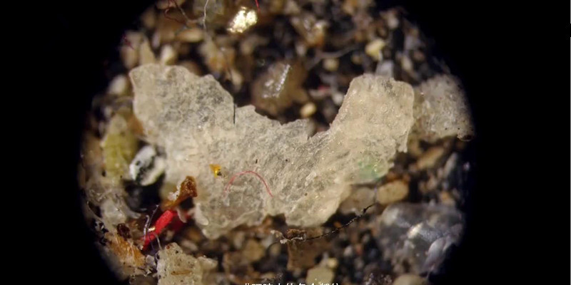 有没有可以祛除螨虫的产品,有没有什么除螨虫的用品