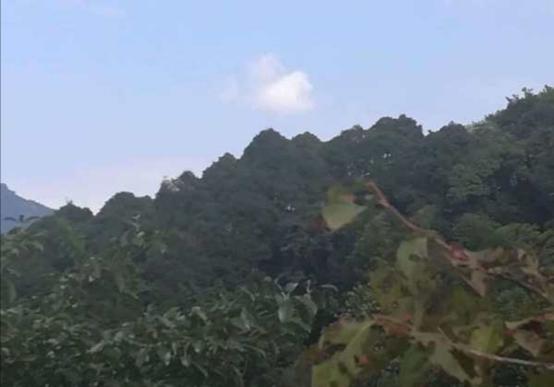 江湖路的风景视频,江湖路上走走停停