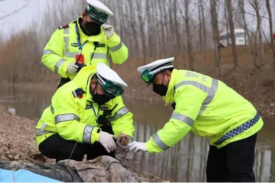 好心人竟是肇事者监控还原真相,寻找目击者谁录下了肇事全过程