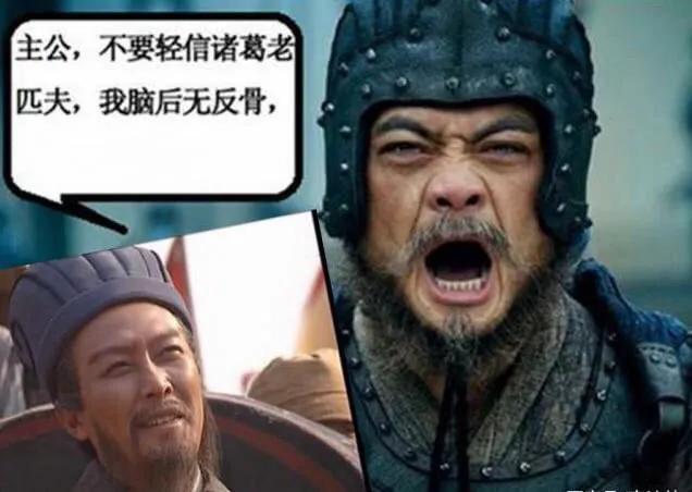 诸葛亮说魏延有反骨谁替魏延求情,诸葛亮临死防备魏延