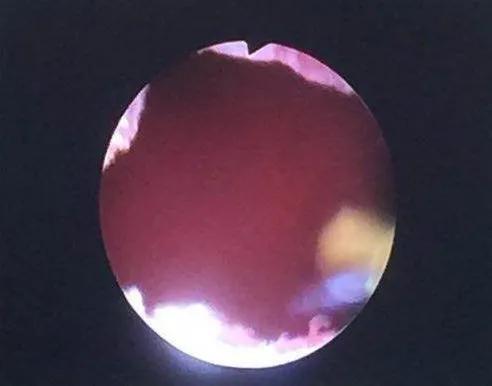 名医札记(三十三)名医引领从北国冰城到西南重镇