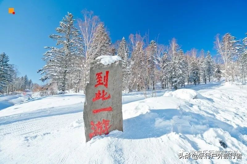 冬天漠河白桦林童话世界完整视频,冰雪大世界长白山雪乡六天五晚