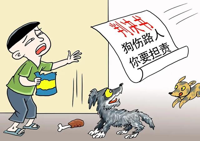 咬伤女童黑犬如何处置,被野狗咬伤如何索赔找不到主人