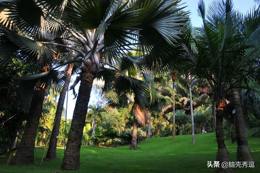 厦门四天自由行攻略最详细,厦门自由行攻略5天详细