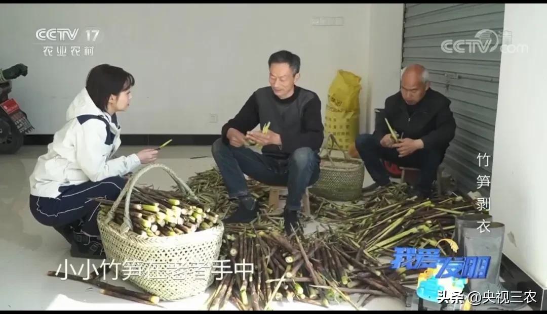 有了“王万能”发明的神器，竹笋剥皮轻松搞定