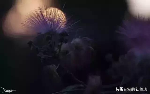 胎儿后期发育慢是什么原因,怀孕后期羊水少是什么原因