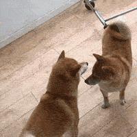 坚持做这五件事你的运气会更好,坚持做这些事就能变美