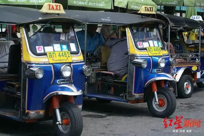 疫情还没完，300万人却已经事实失业了，动物都上街了！