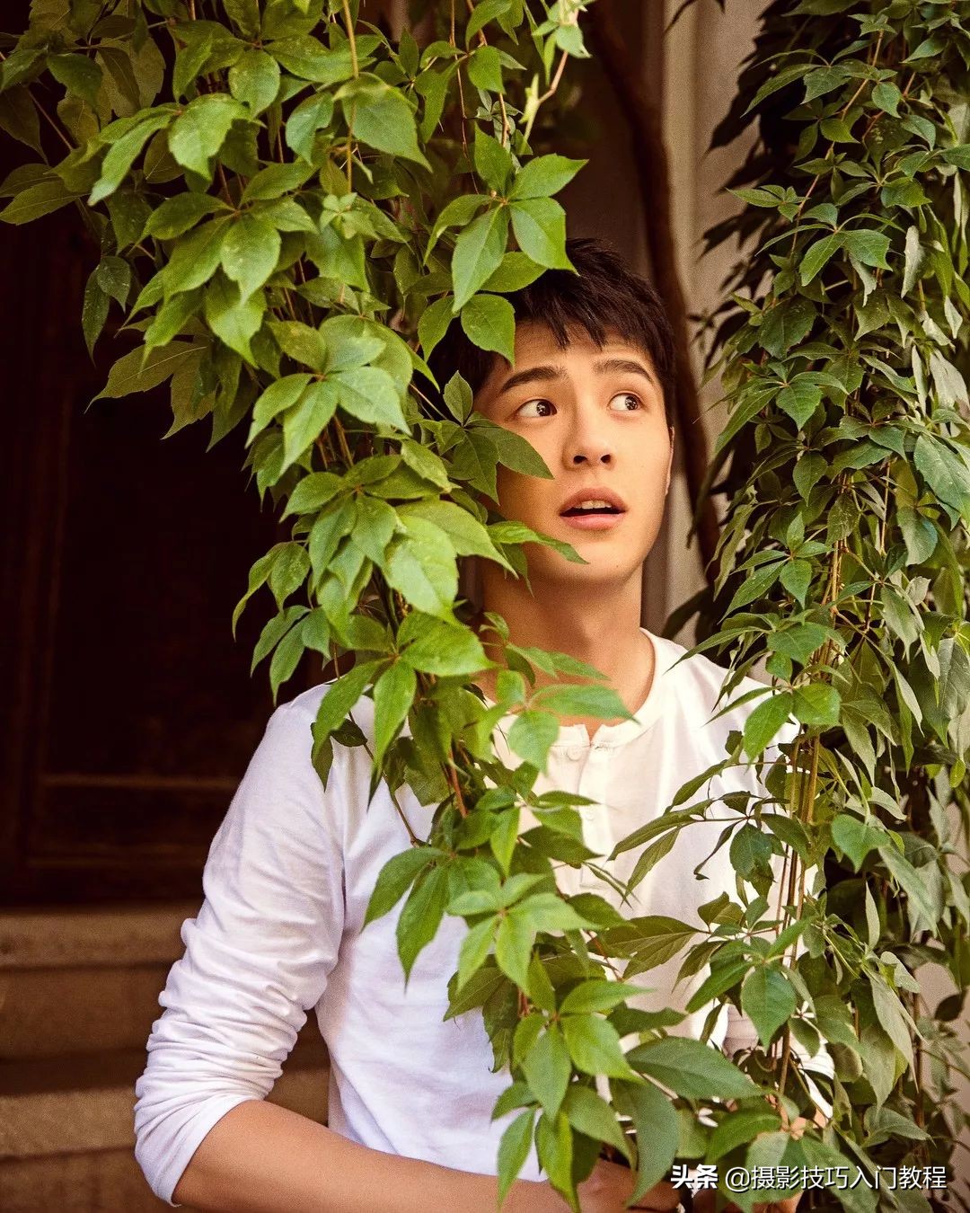 刘昊然拍照姿势教学,刘昊然自拍照环绕模板
