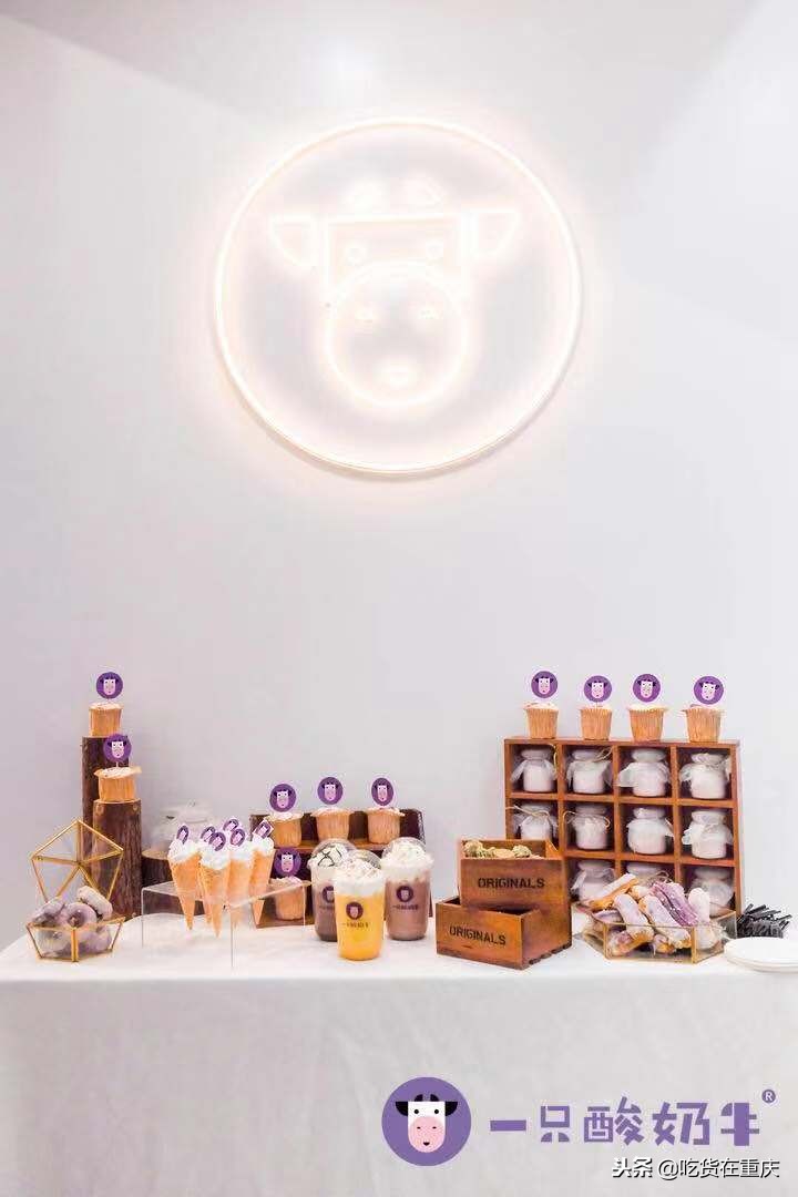 一只酸奶牛门店开业盛况,一只酸奶牛多久回本