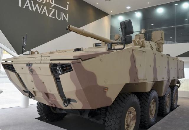 照猫画虎可以做什么,照猫画虎能成功吗