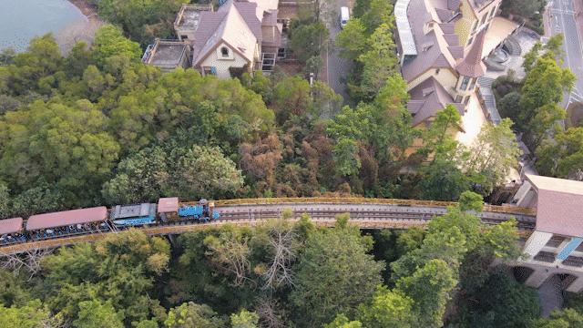 女神节优惠门票深圳,女神节深圳游玩攻略