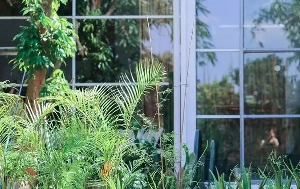 深山老林自建豪华木屋隐居生活,90后小情侣隐居深山建别墅仅花6万