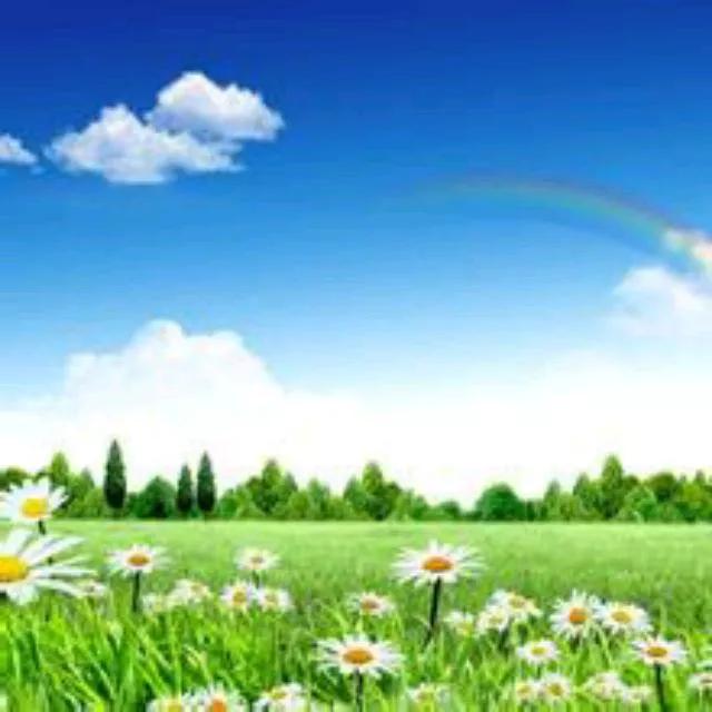 明天会更好英文完整版,明天会更好英文版字幕