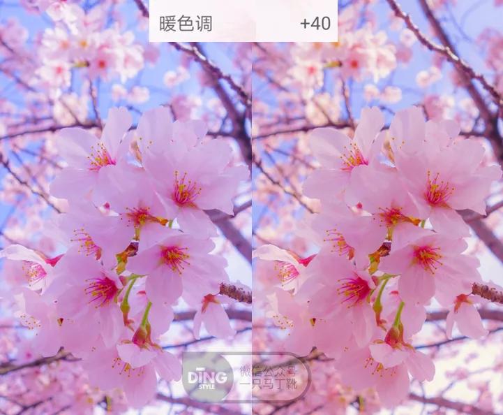 教你修图调出这样的神仙滤镜,修图滤镜调色教程泼辣