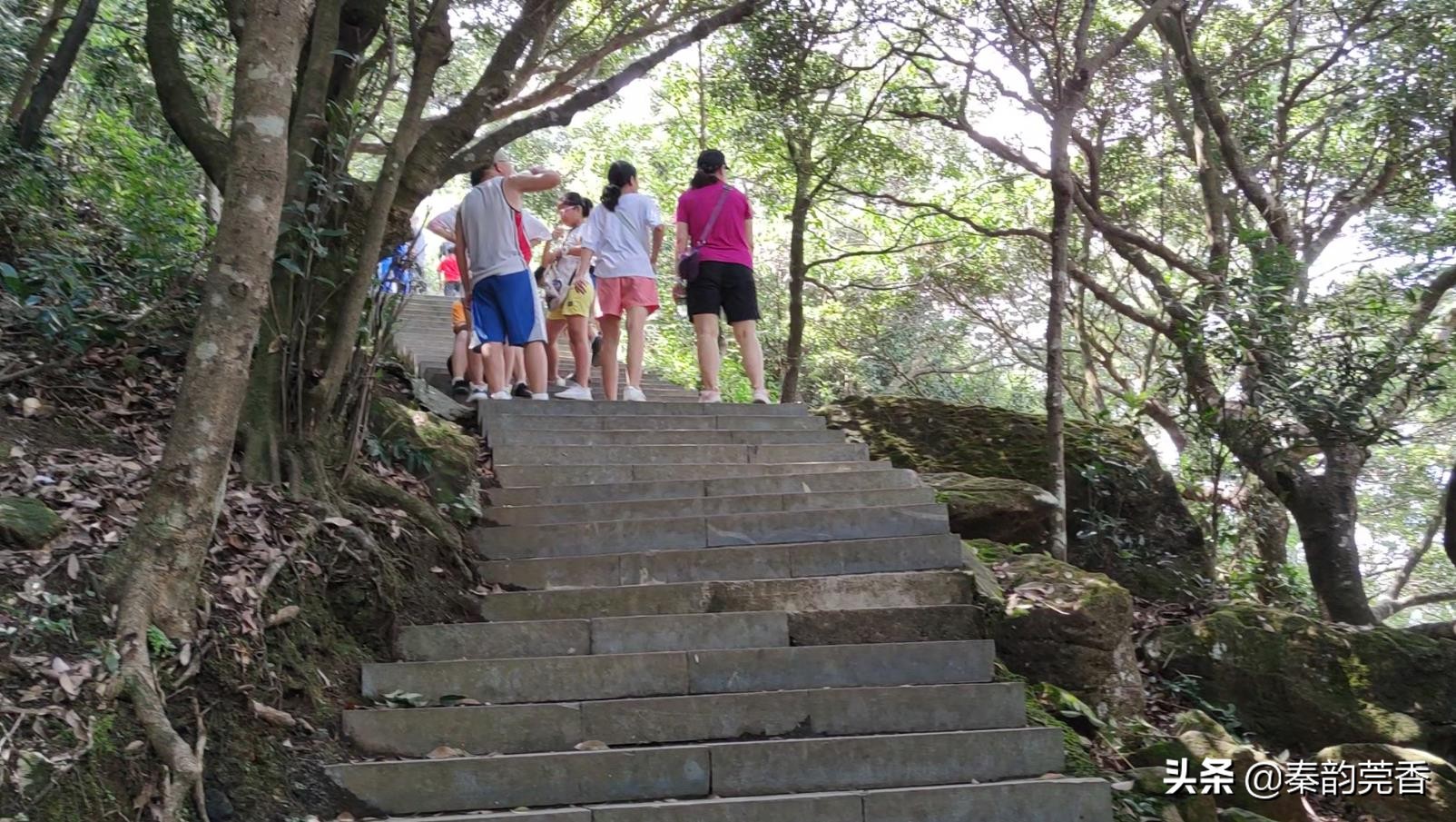 东莞银瓶山从哪个入口进入比较好,东莞第一高峰银瓶山爬上去要多久