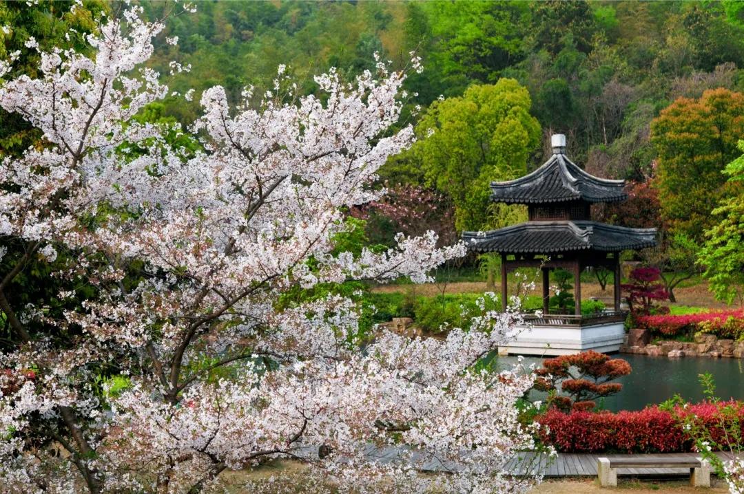 苏州东山景区攻略图高清,苏州东山风景区游玩攻略图片高清