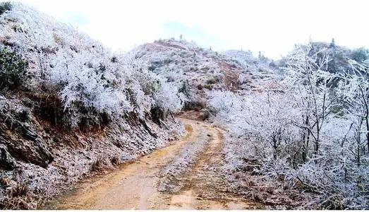 庄辉辉的作品,庄辉辉翻唱