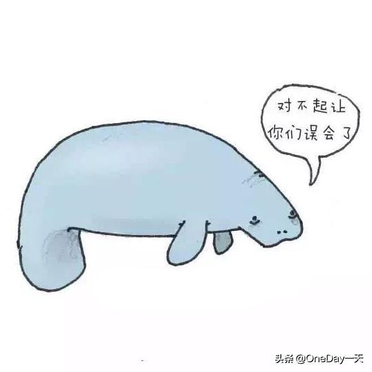 动物冷知识搞笑动画,搞笑动物冷知识22