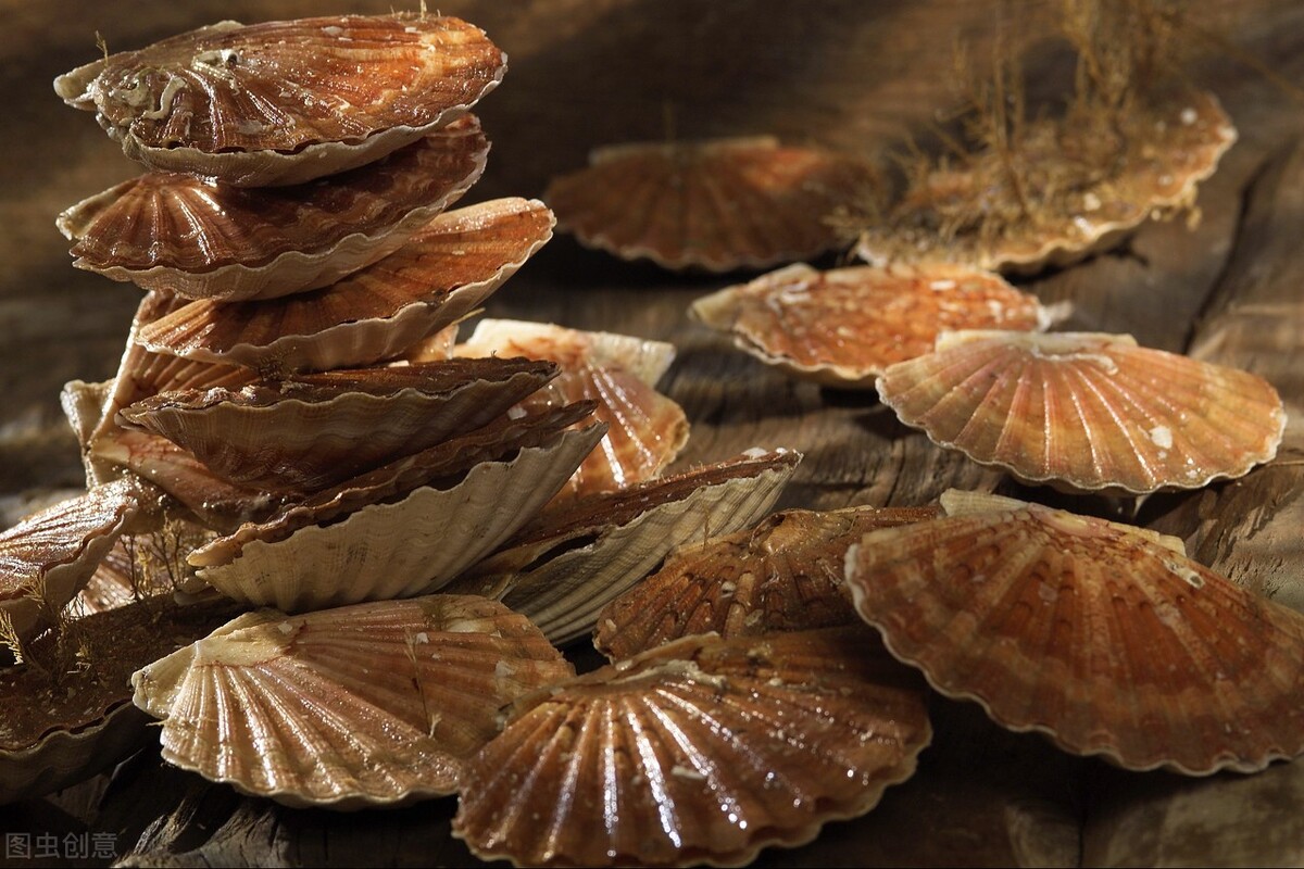 扇贝干需要泡发多久,扇贝干泡发后怎么做好吃