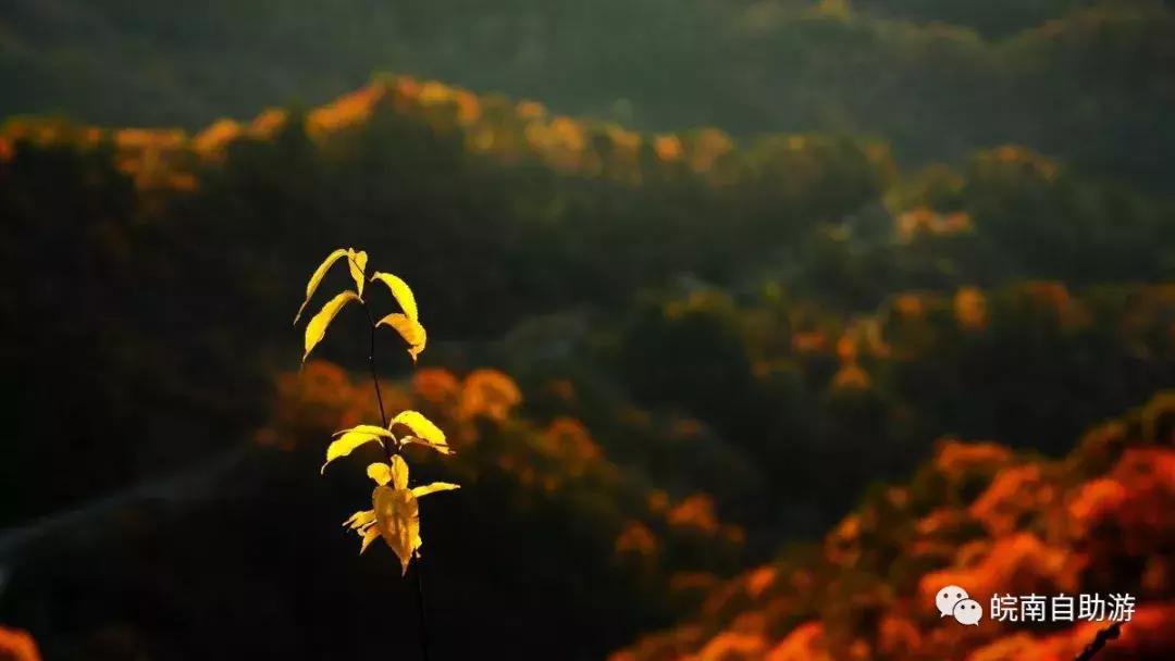 安徽赏秋的好乡村,安徽秋天去哪里赏秋最好